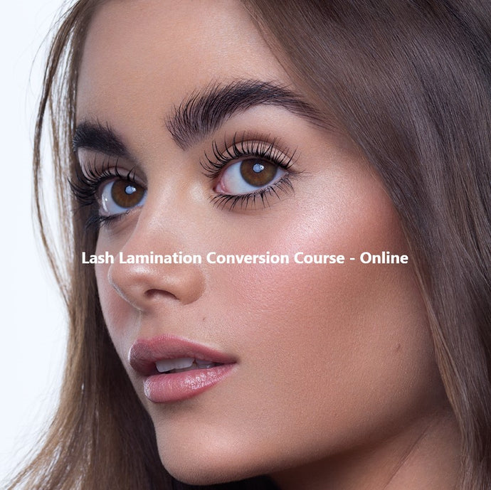 Lash Lamination Conversion Course - Online