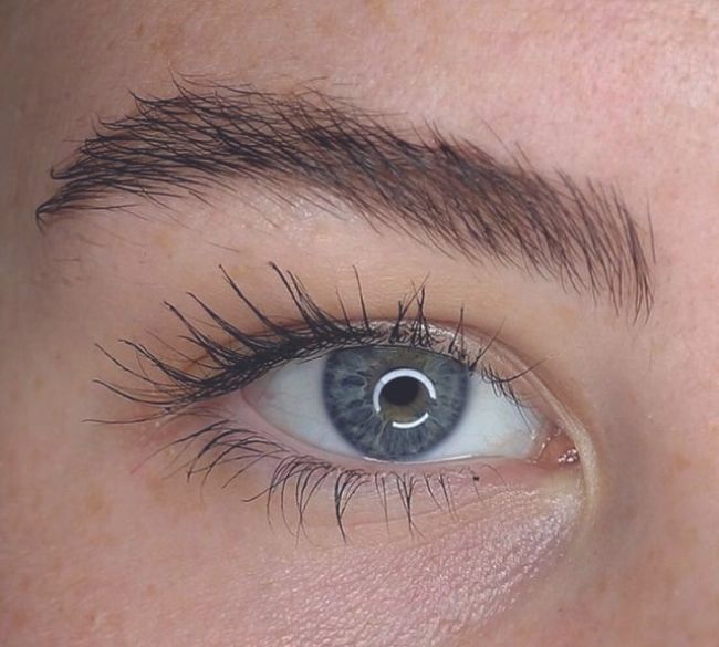 How To Professionally Apply Bottom and Inner Lashes