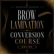 Brow Lamination Conversion Course - Online