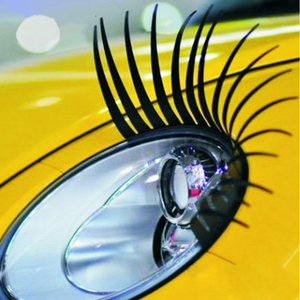 Car Headlight Lashes